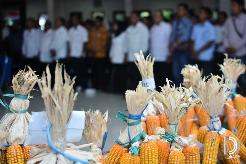 Pemkab Lamongan-PT Esa Tandatangani Kerja Sama Terkait Jagung - Detakpos.Com